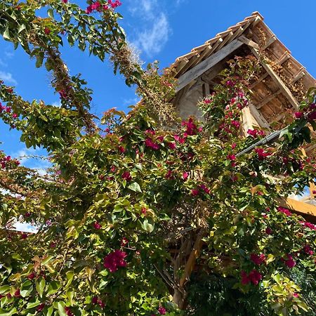 Em-Ba Butik Bungalov Demre Εξωτερικό φωτογραφία