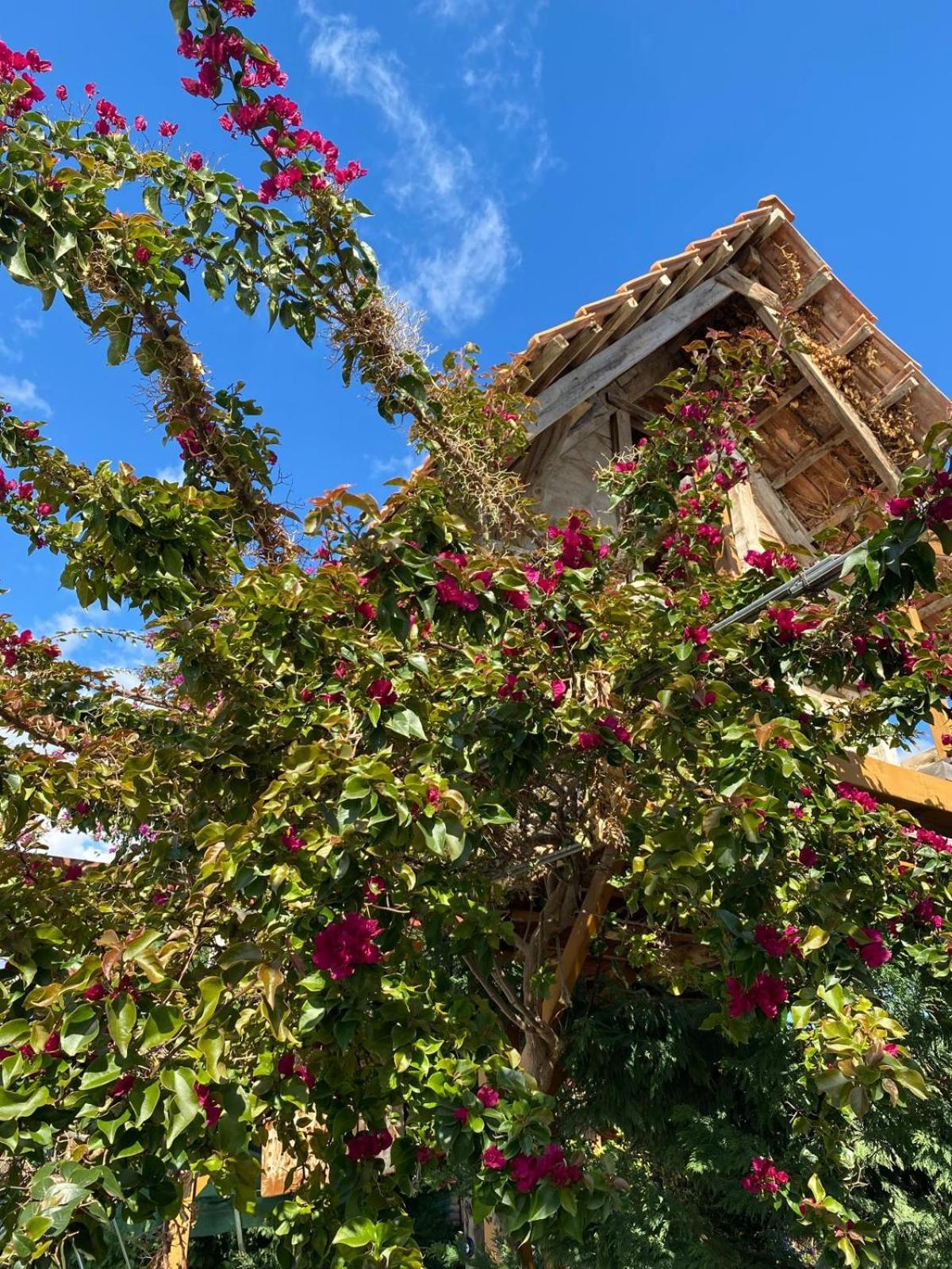Em-Ba Butik Bungalov Demre Εξωτερικό φωτογραφία